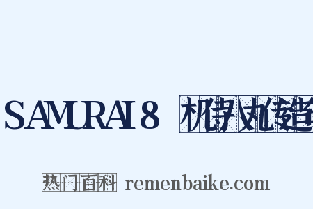 SAMURAI8～机侍八丸传造句是什么意思的图片